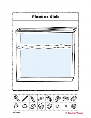 Float or Sink: Gravity and Bouyancy Activity