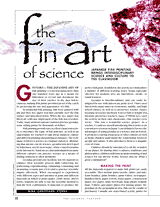 The Fin Art of Science