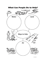 Ways to Help the Environment
