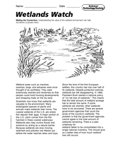 Science, Technology, and Society: Wetlands Watch