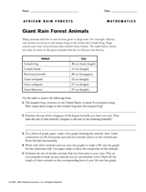 Giant Rain Forest Animals