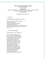 Because I Could Not Stop My Bike Original Poems