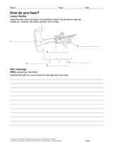 How Do You Hear? (Label and Summarize)