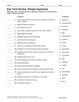 Science Key Term Review: Simple Organisms