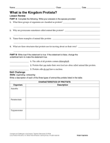 What Is the Kingdom Protista?