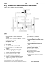 Science Key Term Review: Animals Without Backbones