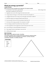 What Are Energy Pyramids?