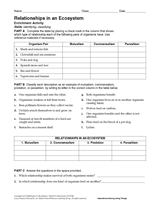 Activity: Relationships in an Ecosystem
