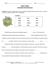 Birds' Nests Complete the Sentence